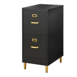 Dixie 2 Drawer Filing Cabinet - Buylateral -Buylateral GUEST a6c30278 e9d2 483a b366 845bb9afa6b5
