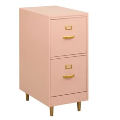 Dixie 2 Drawer Filing Cabinet - Buylateral -Buylateral GUEST b8981581 54f2 442e a383 6babde64348b